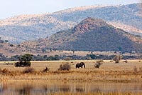 Afrique du Sud : Pilanesberg national park