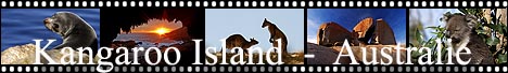 Photos et récit de voyage Kangaroo island, Australie.