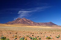 Chili, dsert Atacama : Socaire