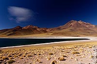 Chili, dsert Atacama : lagunas Miscanti