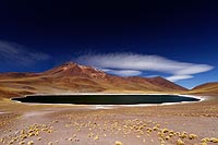 Chili, dsert Atacama : lagunas Miique