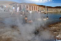 Chili, dsert Atacama : geysers d'El Tatio