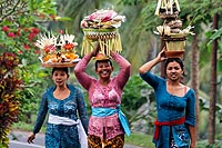 Bali experience : cérémonie de crémation