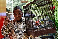 Java experience : bird market, malang