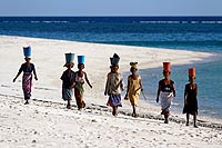 Madagascar experience : l'aventure du Grand Sud