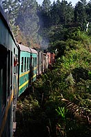 Madagascar experience : train Fianarantsao Côte Est