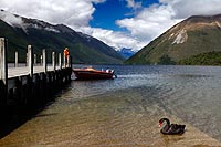 new zealand experience : Nelson Lakes National Park
