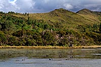 new zealand experience : Abel Tasman National Park